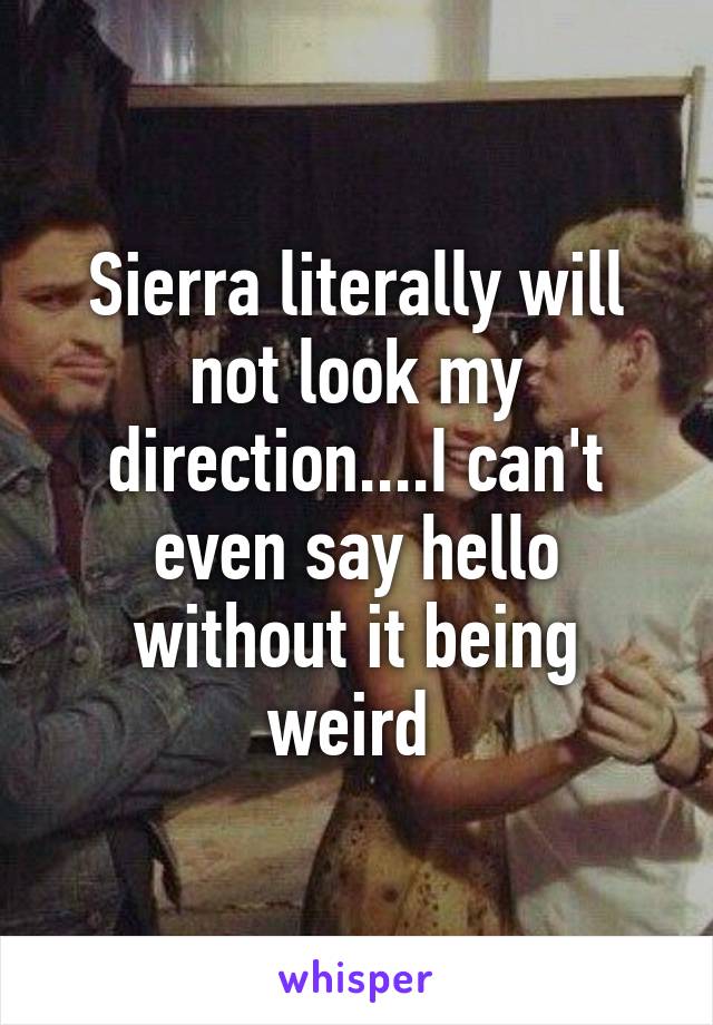 Sierra literally will not look my direction....I can't even say hello without it being weird 