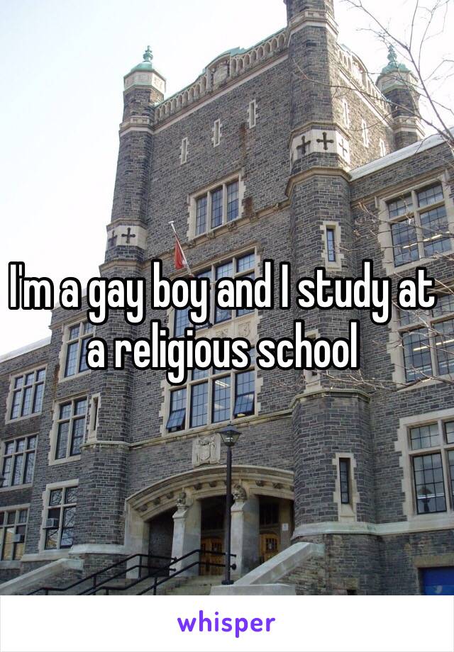 I'm a gay boy and I study at a religious school 