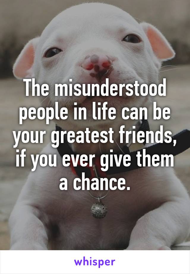 The misunderstood people in life can be your greatest friends, if you ever give them a chance.