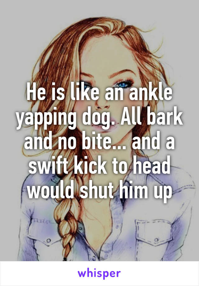 He is like an ankle yapping dog. All bark and no bite... and a swift kick to head would shut him up