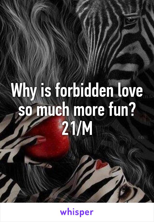 Why is forbidden love so much more fun? 21/M