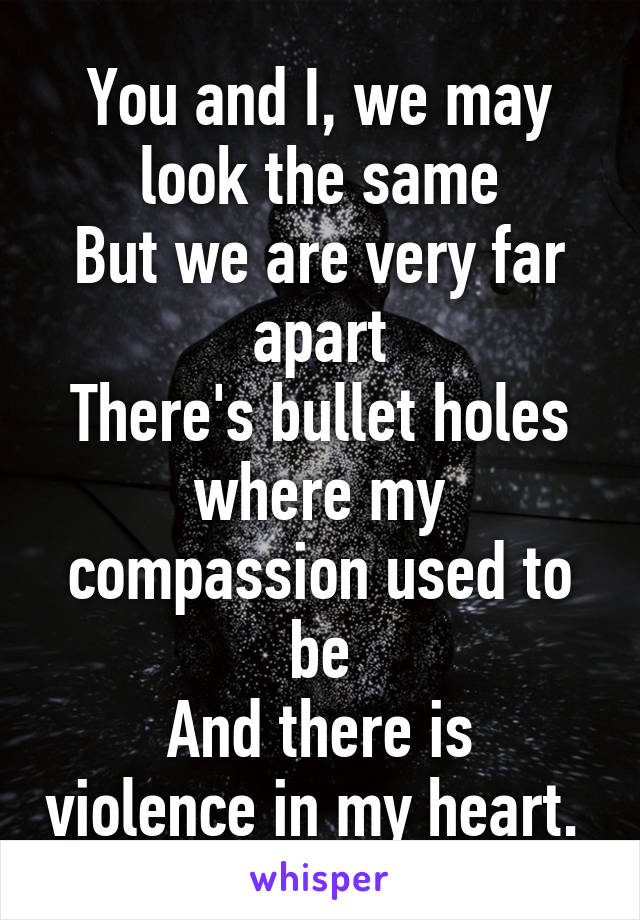 You and I, we may look the same
But we are very far apart
There's bullet holes where my compassion used to be
And there is violence in my heart. 