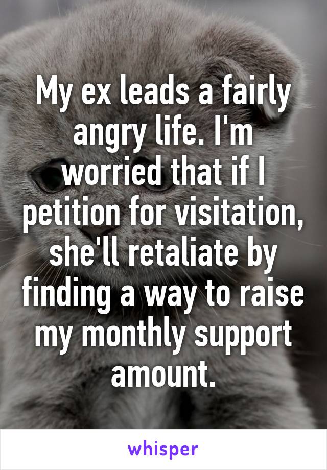 My ex leads a fairly angry life. I'm worried that if I petition for visitation, she'll retaliate by finding a way to raise my monthly support amount.