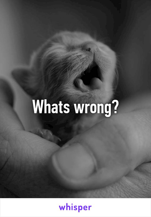 Whats wrong?