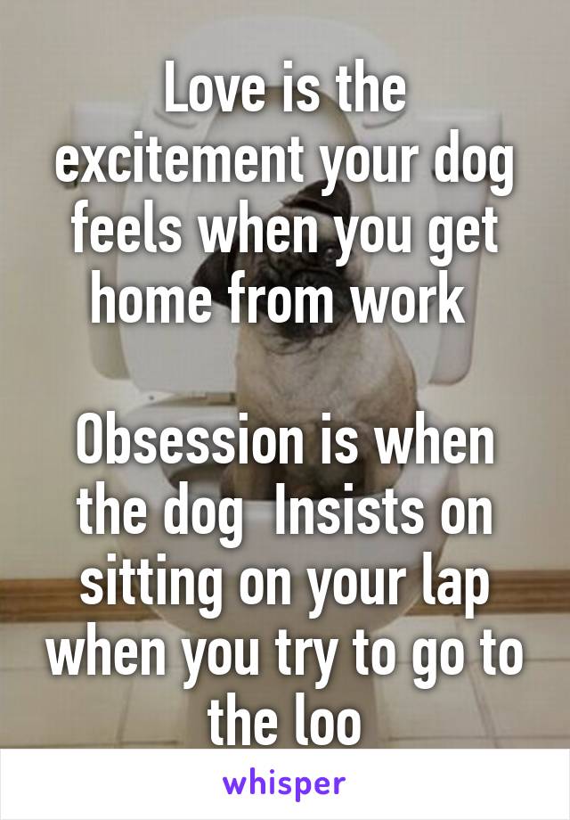 Love is the excitement your dog feels when you get home from work 

Obsession is when the dog  Insists on sitting on your lap when you try to go to the loo