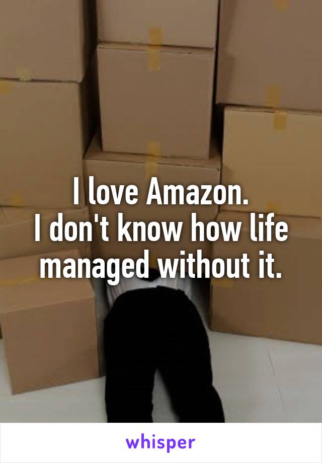I love Amazon.
I don't know how life managed without it.