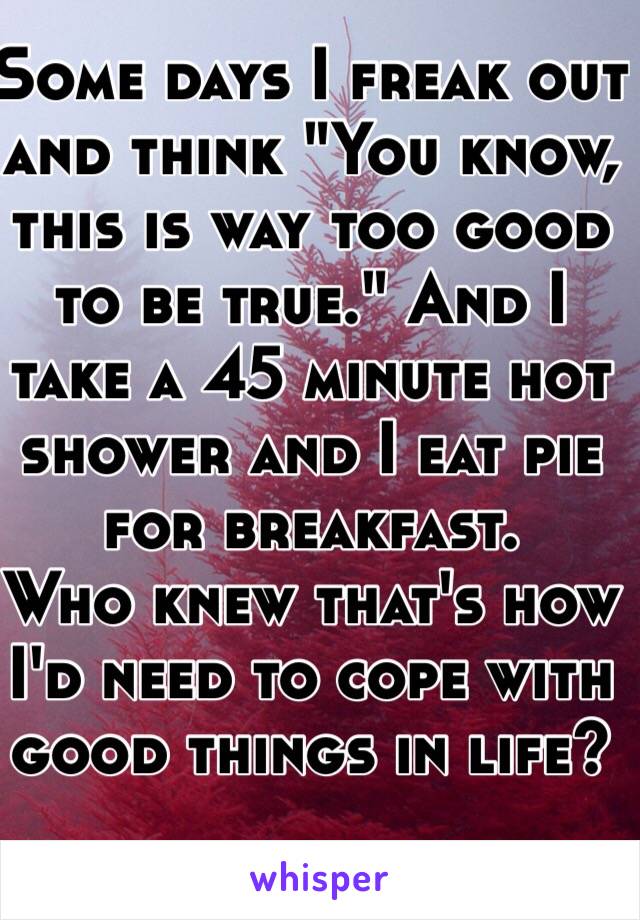 Some days I freak out and think "You know, this is way too good to be true." And I take a 45 minute hot shower and I eat pie for breakfast.
Who knew that's how I'd need to cope with good things in life?