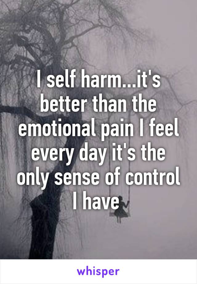 I self harm...it's better than the emotional pain I feel every day it's the only sense of control I have 