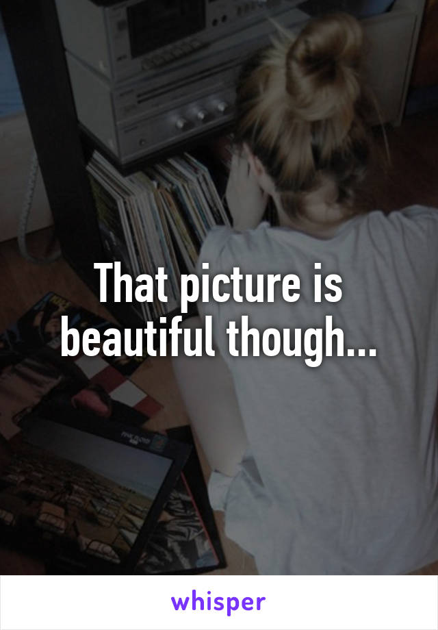 That picture is beautiful though...