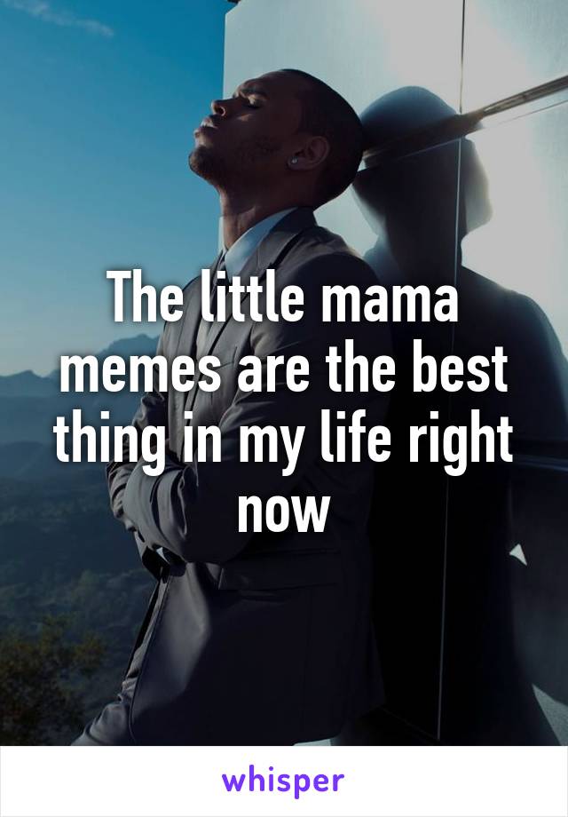 The little mama memes are the best thing in my life right now