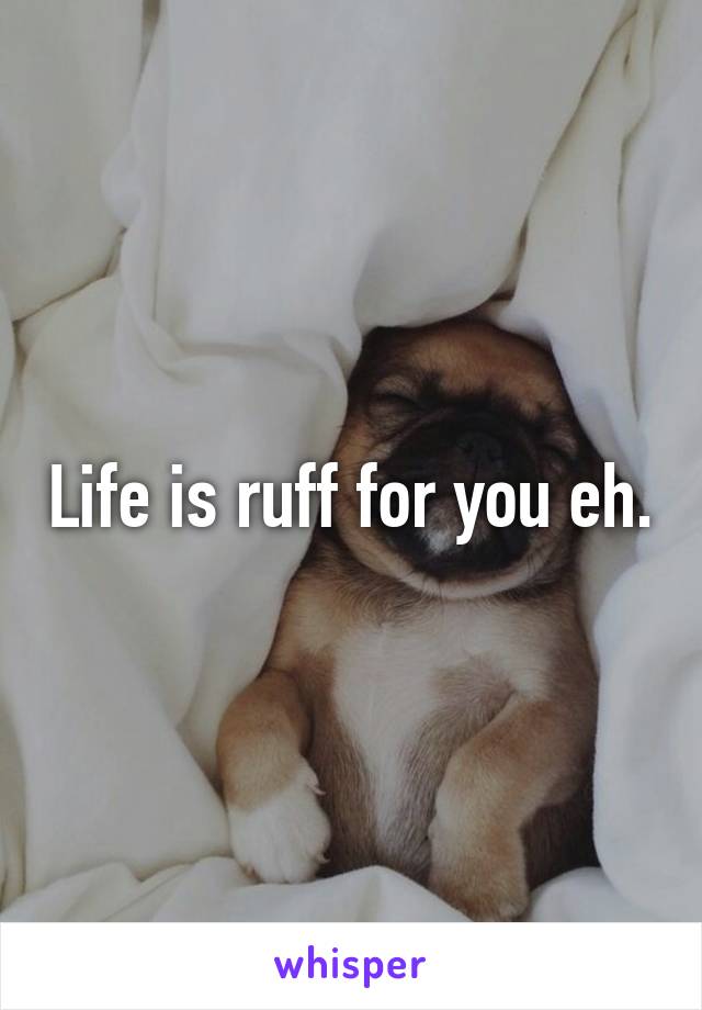 Life is ruff for you eh.