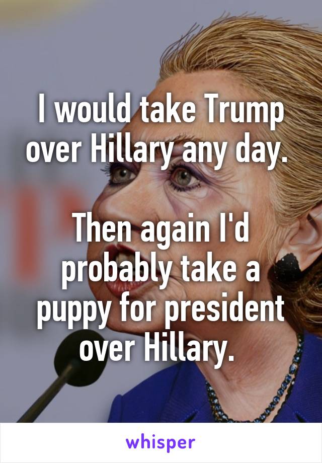 I would take Trump over Hillary any day. 

Then again I'd probably take a puppy for president over Hillary. 