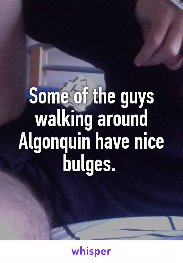 Some of the guys walking around Algonquin have nice bulges. 