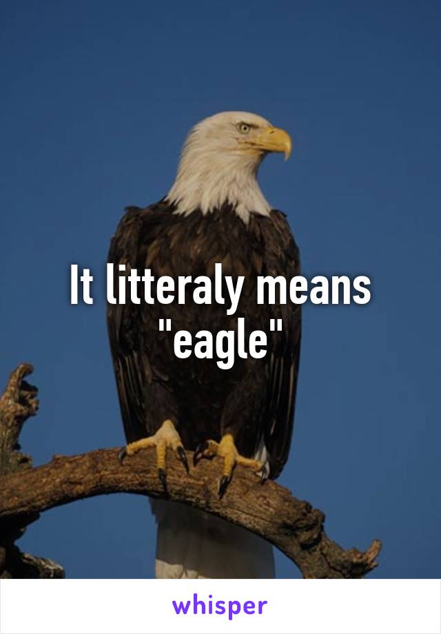 It litteraly means "eagle"