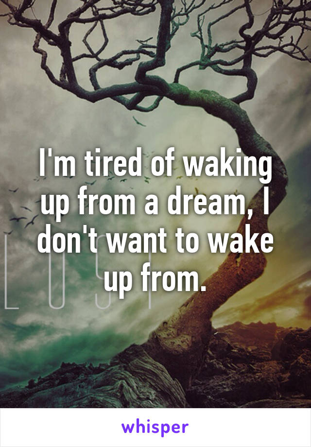 I'm tired of waking up from a dream, I don't want to wake up from.