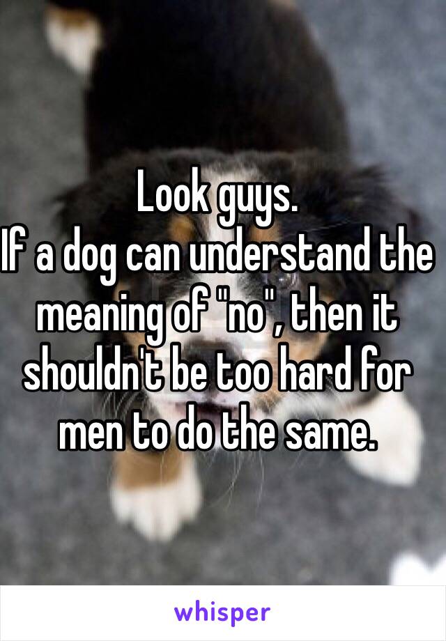 Look guys.
If a dog can understand the meaning of "no", then it shouldn't be too hard for men to do the same.