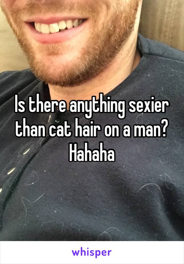 Is there anything sexier than cat hair on a man? Hahaha