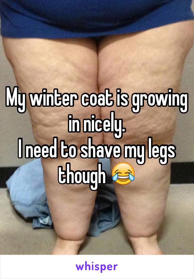 My winter coat is growing in nicely.
I need to shave my legs though 😂