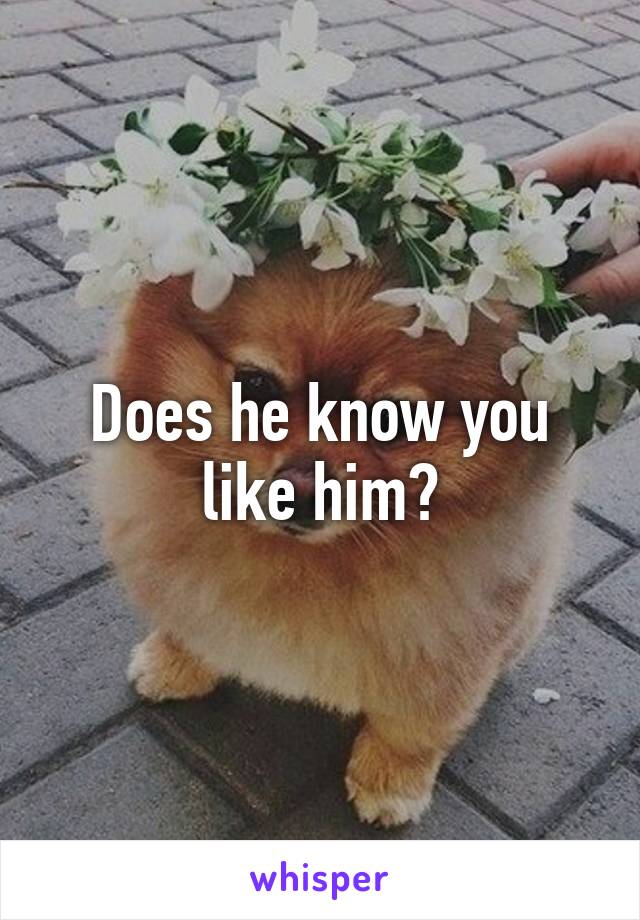 Does he know you like him?