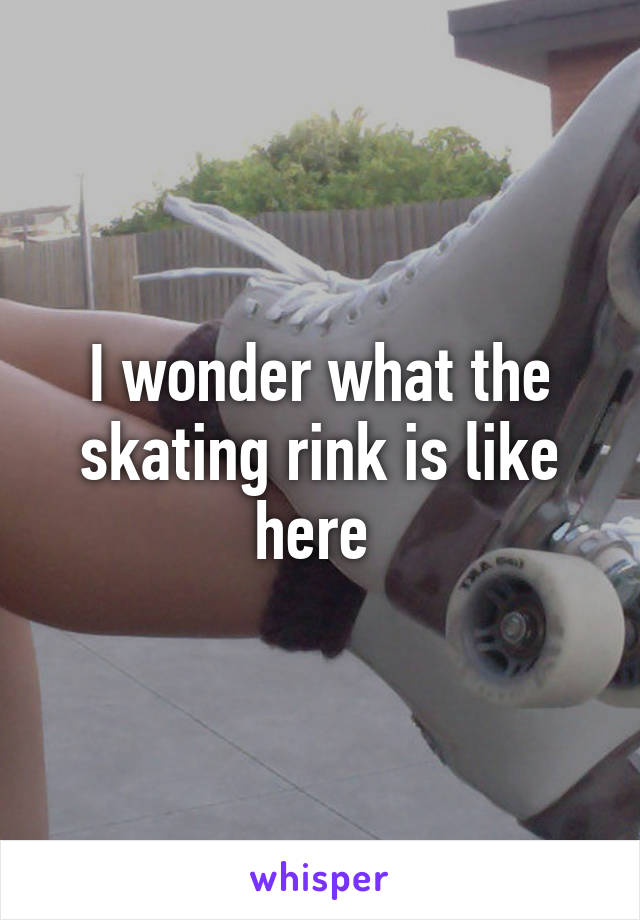 I wonder what the skating rink is like here 