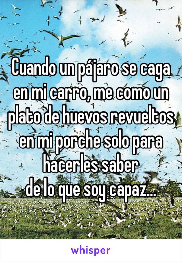 Cuando un pájaro se caga en mi carro, me como un plato de huevos revueltos en mi porche solo para hacerles saber 
de lo que soy capaz...