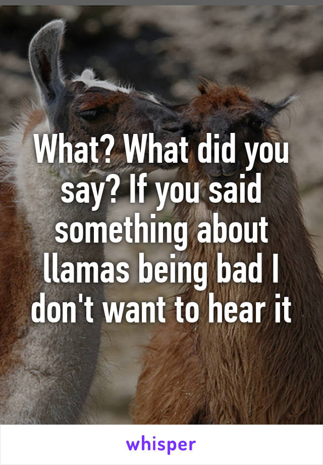 What? What did you say? If you said something about llamas being bad I don't want to hear it