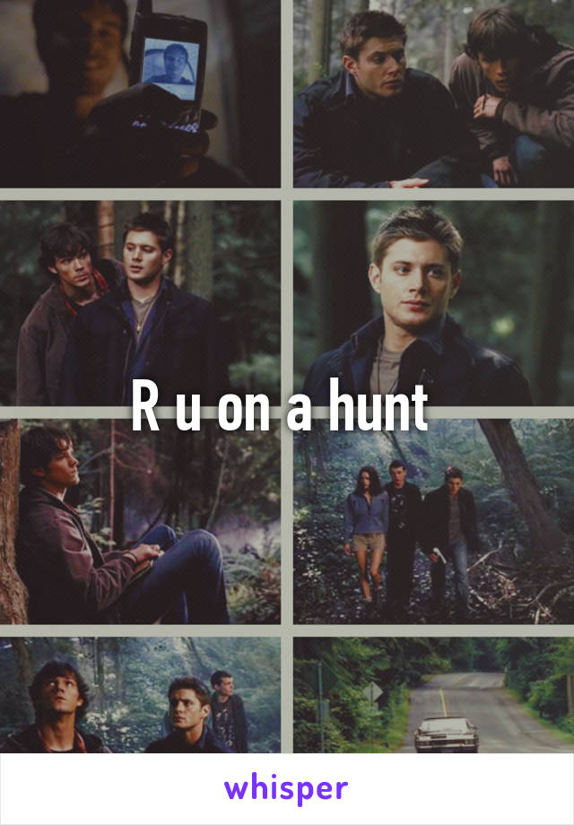 R u on a hunt 