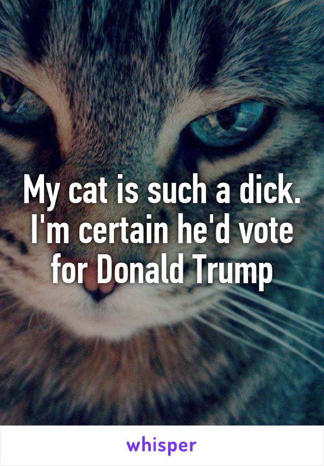 My cat is such a dick. I'm certain he'd vote for Donald Trump