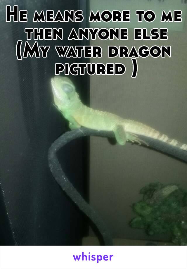 He means more to me then anyone else
(My water dragon pictured )