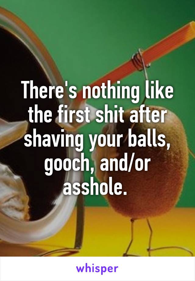 There's nothing like the first shit after shaving your balls, gooch, and/or asshole. 