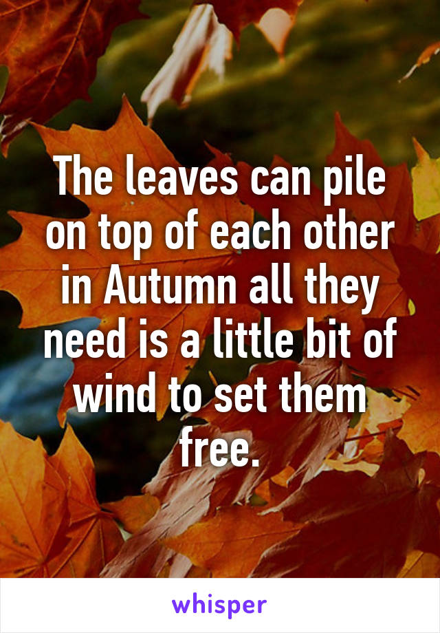 The leaves can pile on top of each other in Autumn all they need is a little bit of wind to set them free.