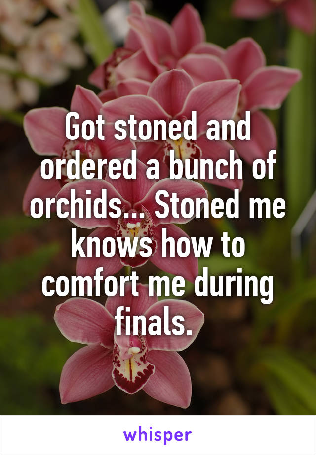 Got stoned and ordered a bunch of orchids... Stoned me knows how to comfort me during finals. 