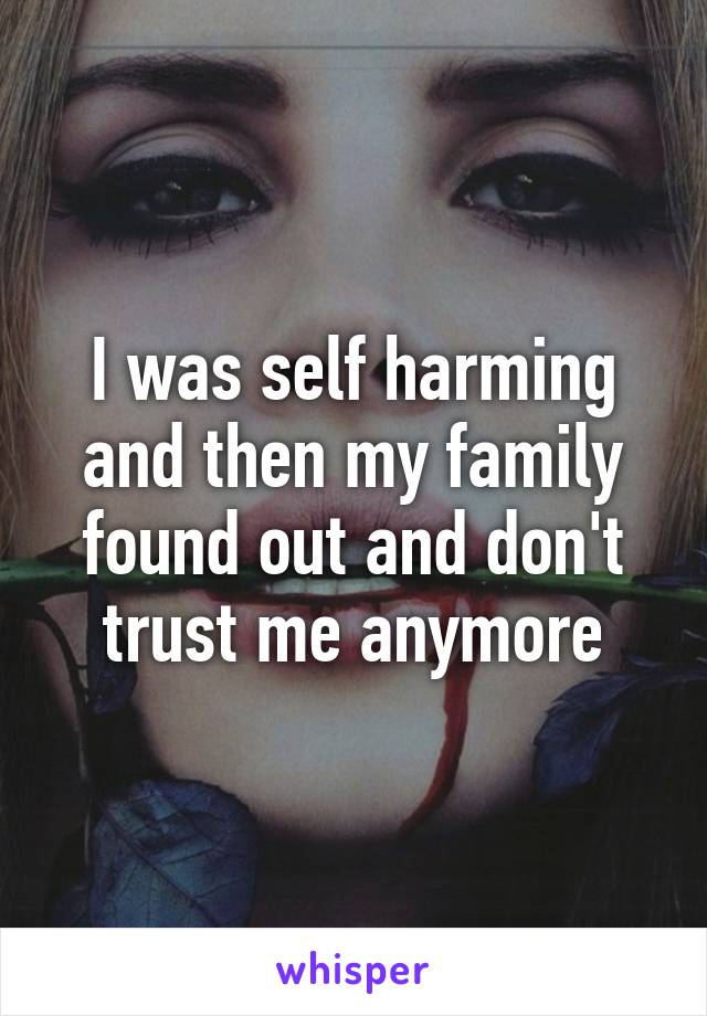 I was self harming and then my family found out and don't trust me anymore