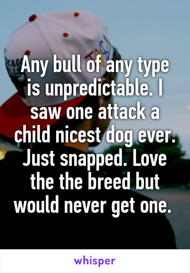 Any bull of any type is unpredictable. I saw one attack a child nicest dog ever. Just snapped. Love the the breed but would never get one. 