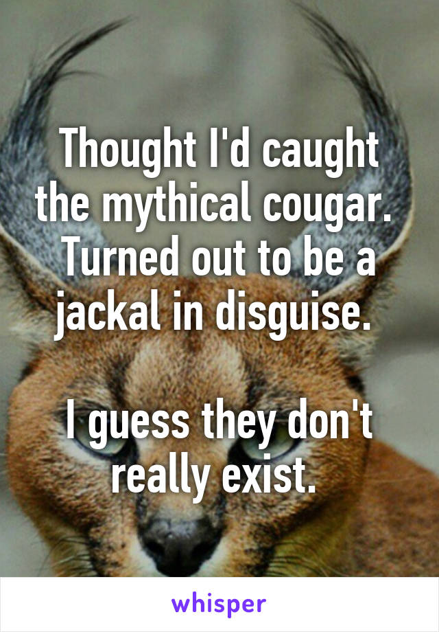 Thought I'd caught the mythical cougar. 
Turned out to be a jackal in disguise. 

I guess they don't really exist. 