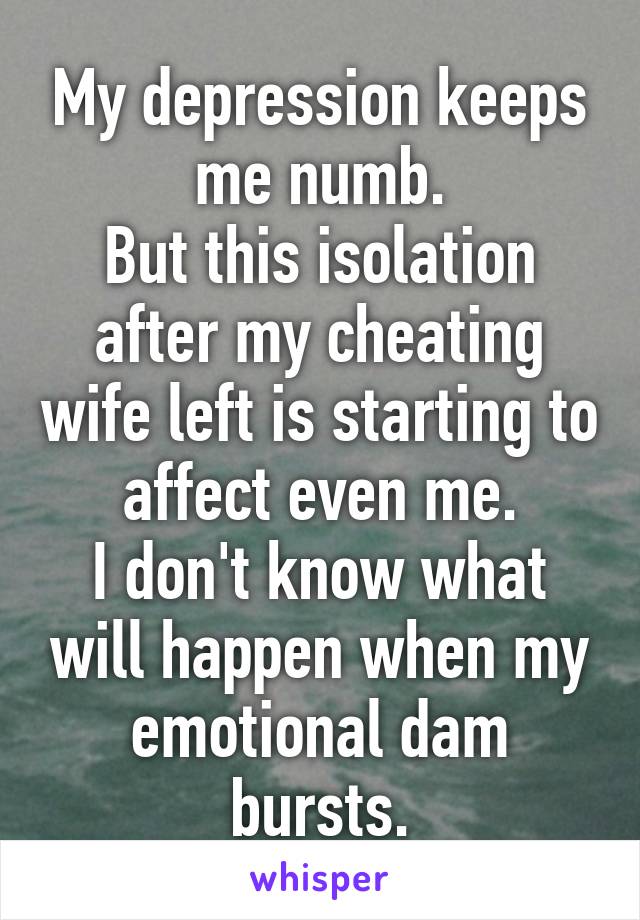 My depression keeps me numb.
But this isolation after my cheating wife left is starting to affect even me.
I don't know what will happen when my emotional dam bursts.