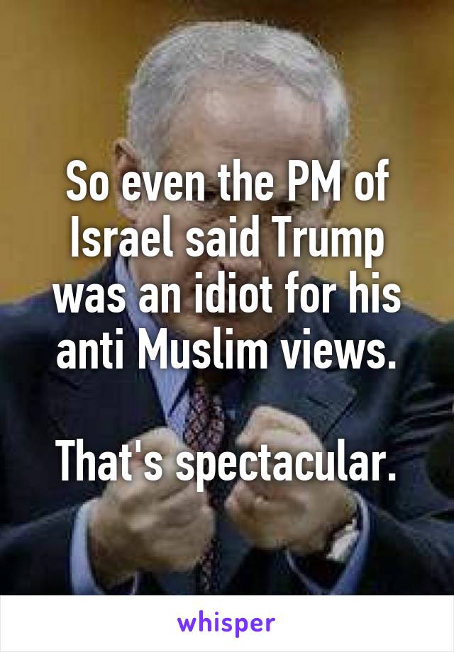 So even the PM of Israel said Trump was an idiot for his anti Muslim views.

That's spectacular.