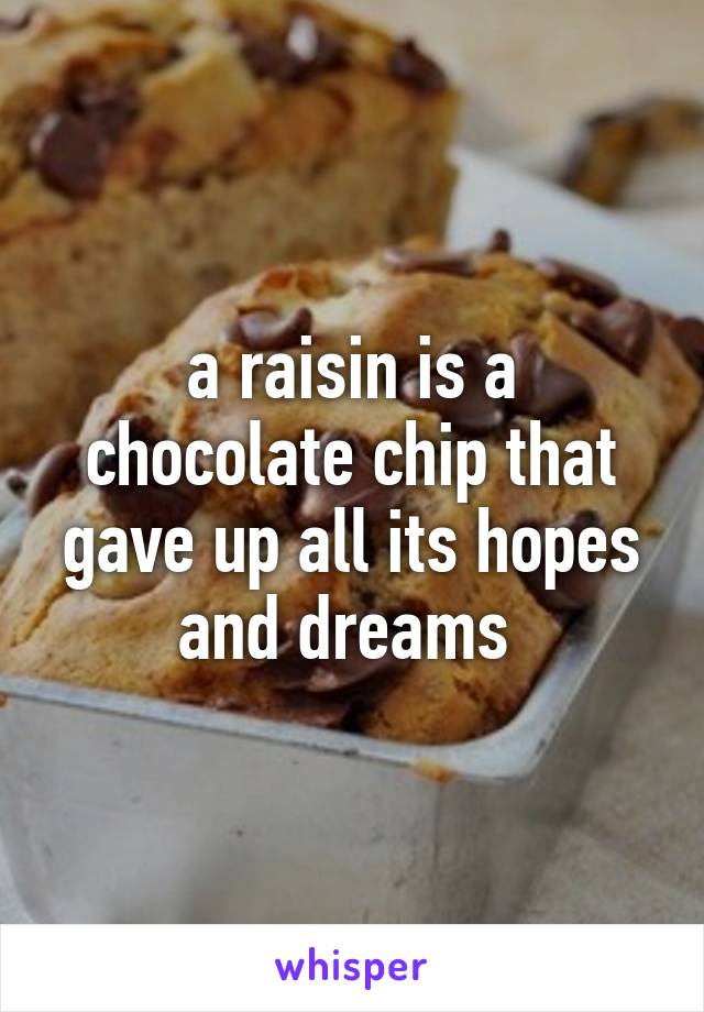 a raisin is a chocolate chip that gave up all its hopes and dreams 