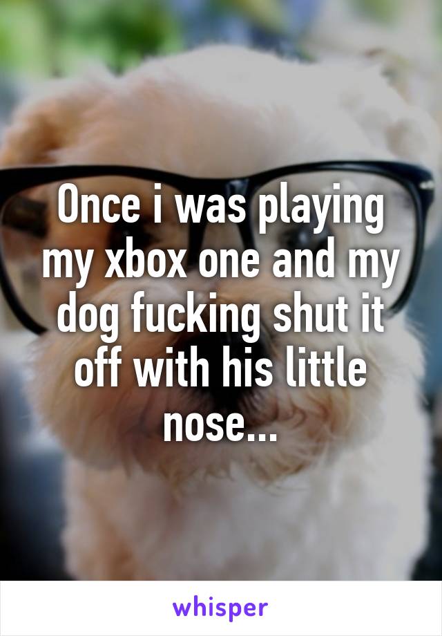 Once i was playing my xbox one and my dog fucking shut it off with his little nose...