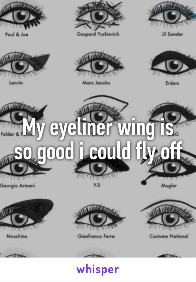 My eyeliner wing is so good i could fly off