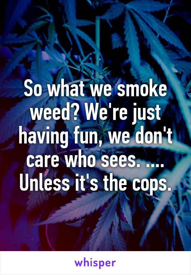 So what we smoke weed? We're just having fun, we don't care who sees. .... Unless it's the cops.