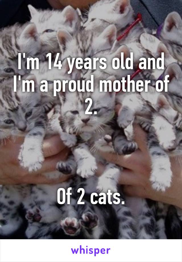 I'm 14 years old and I'm a proud mother of 2.



Of 2 cats.