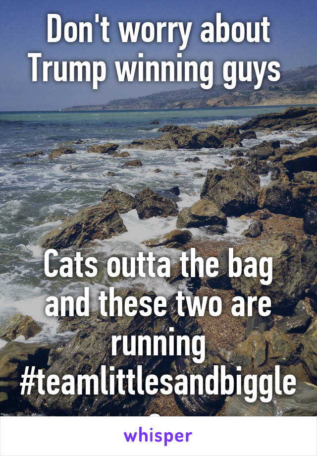 Don't worry about Trump winning guys 




Cats outta the bag and these two are running #teamlittlesandbiggles 