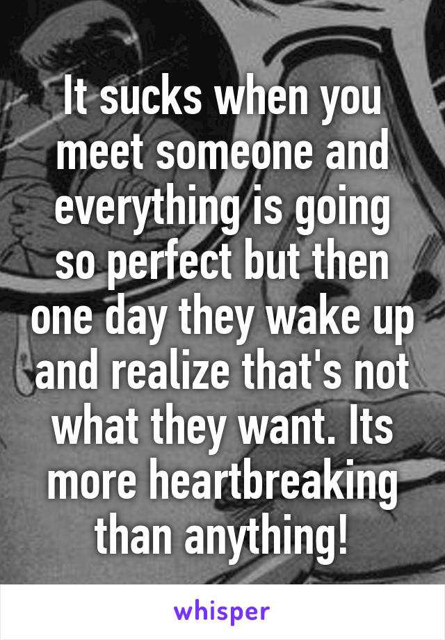 It sucks when you meet someone and everything is going so perfect but then one day they wake up and realize that's not what they want. Its more heartbreaking than anything!