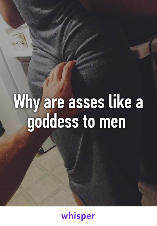 Why are asses like a goddess to men 