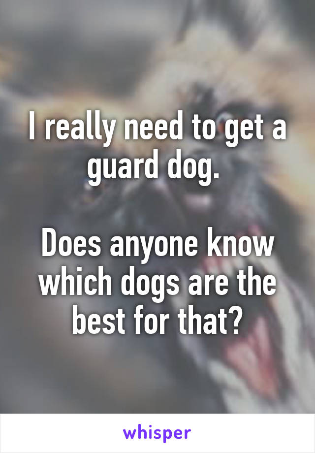 I really need to get a guard dog. 

Does anyone know which dogs are the best for that?