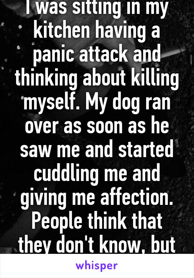 I was sitting in my kitchen having a panic attack and thinking about killing myself. My dog ran over as soon as he saw me and started cuddling me and giving me affection. People think that they don't know, but they do.