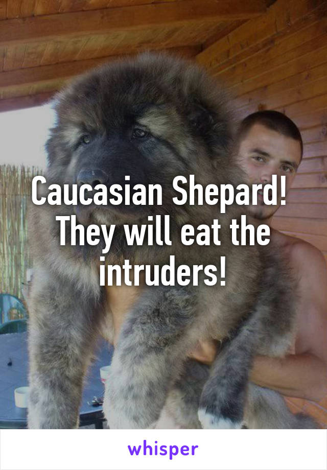 Caucasian Shepard! 
They will eat the intruders!