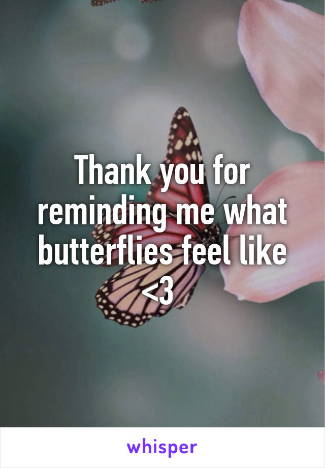 Thank you for reminding me what butterflies feel like <3 