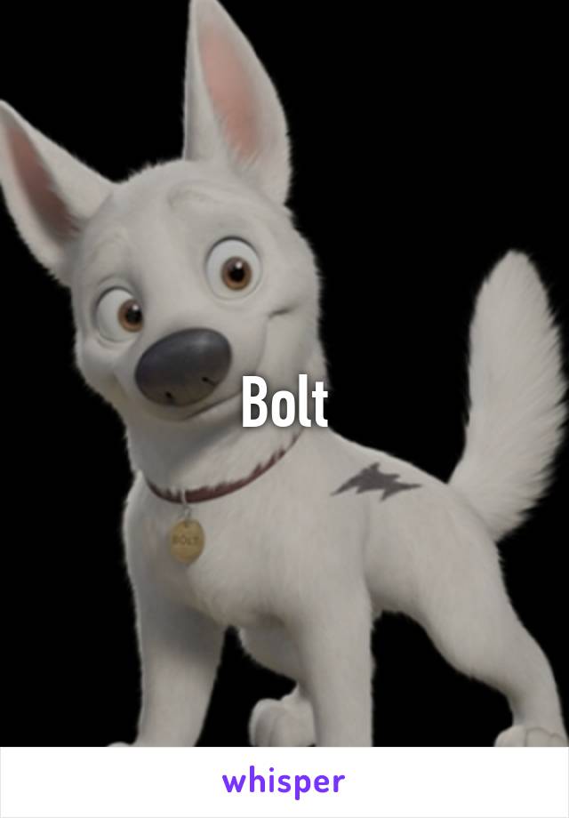 Bolt